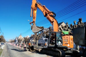 Bd Douville : enquête sur l'impact des travaux