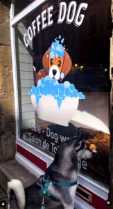 Coffee Dog : pour les chiens et leurs maîtres à Saint-Servan